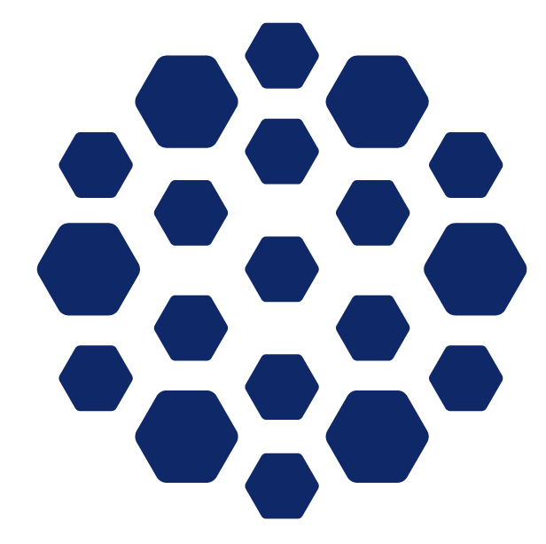 BinaryCapital_DarkBlue_Logo_rgb-1